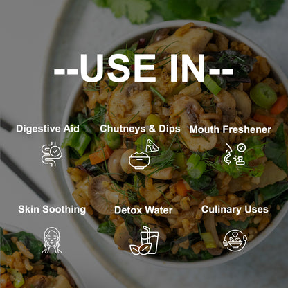 Fennel Powder | Aromatic Ground Spice for Curries, Masalas, Desserts & Herbal Tea | Sweet, Fragrant & Flavorful Cooking Ingredient - DFOLS