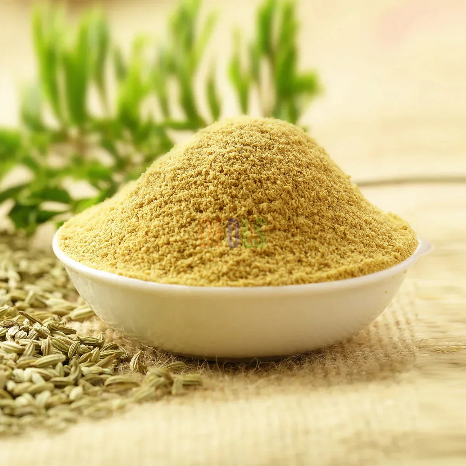 Fennel Powder | Aromatic Ground Spice for Curries, Masalas, Desserts & Herbal Tea | Sweet, Fragrant & Flavorful Cooking Ingredient - DFOLS