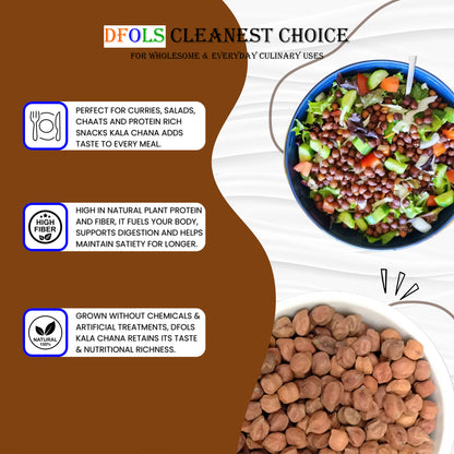 DFOLS Kala Chana Black Chickpeas Protein Rich  0.55lb 8.82oz 250g  黒ひよこ豆