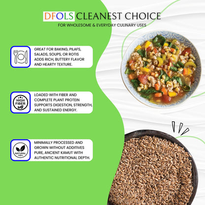 DFOLS Organic Kamut | 100% Natural Ancient Grain | High-Protein, Fiber-Rich Superfood | Pesticide-Free Whole Grain Wheat | Premium Quality for Healthy Cooking