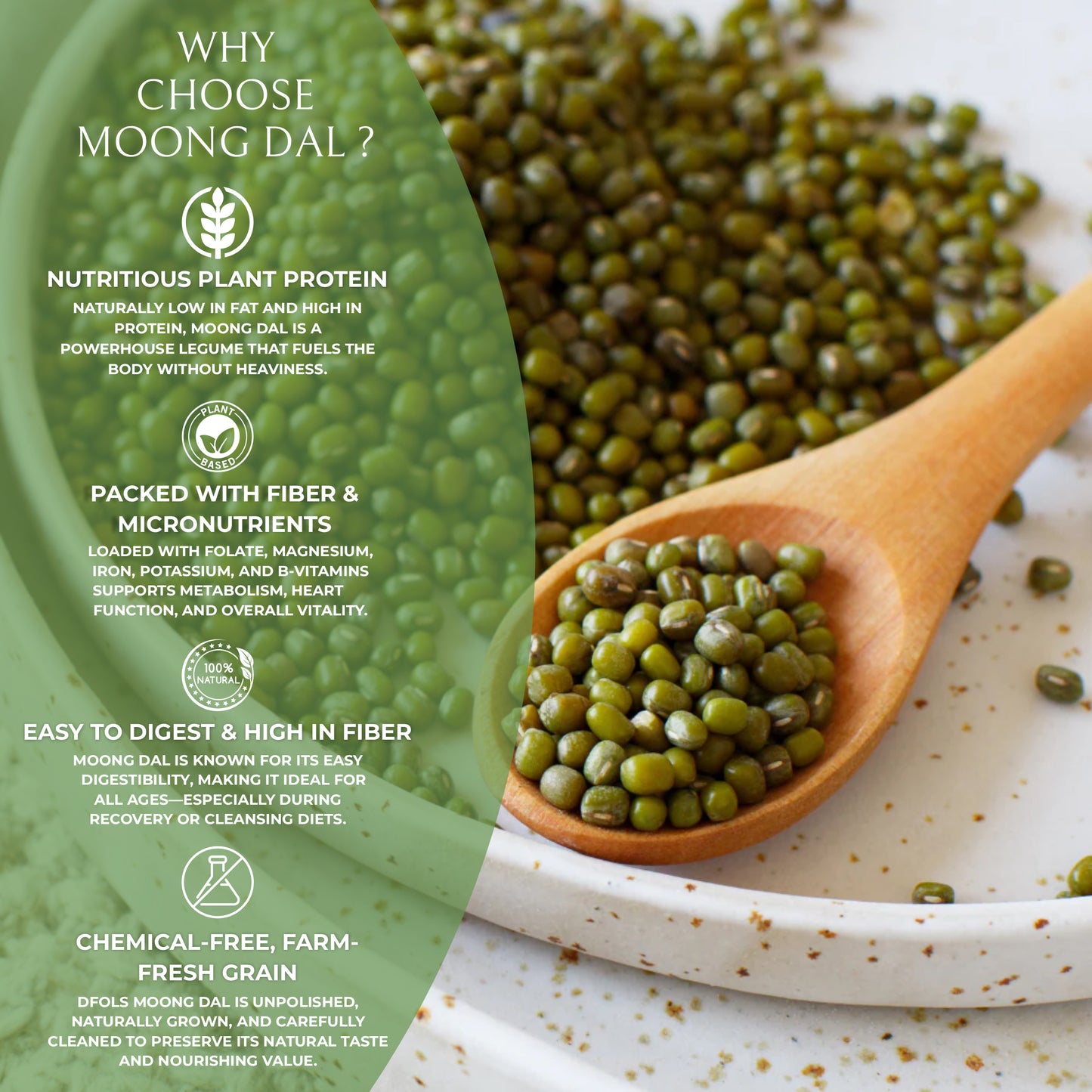 DFOLS Moong Dal Split Green Gram Cooking 0.55lb 8.82oz 250g ムング豆ダール