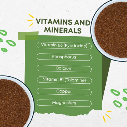 DFOLS Organic Teff Seeds | Gluten-Free & Non-GMO Superfood | High Protein, Fiber, Iron & Calcium | Supports Energy, Digestion, Bones & Healthy Lifestyle